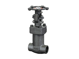 1576830205600096.png 鍛鋼閥門(mén)